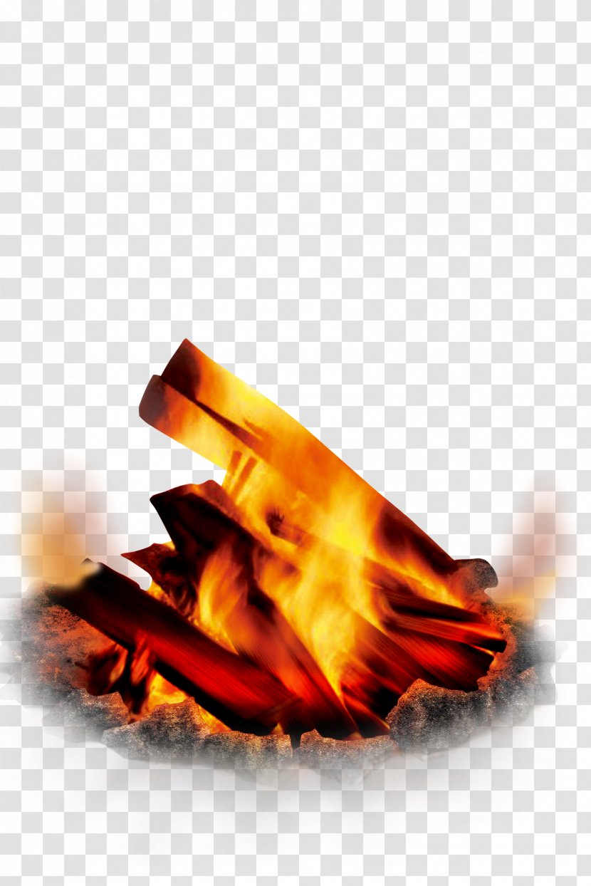 Flame Bonfire - Campfire Pictures Transparent PNG
