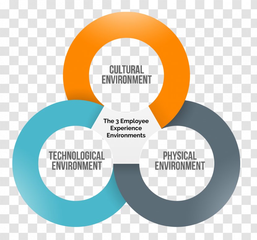 Employee Experience Management Organization Human Resources Company Marketing - Behavior - Physical Flexibility Transparent PNG