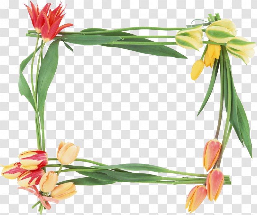International Women's Day Happiness Anniversary Woman - Cut Flowers - 8march Transparent PNG