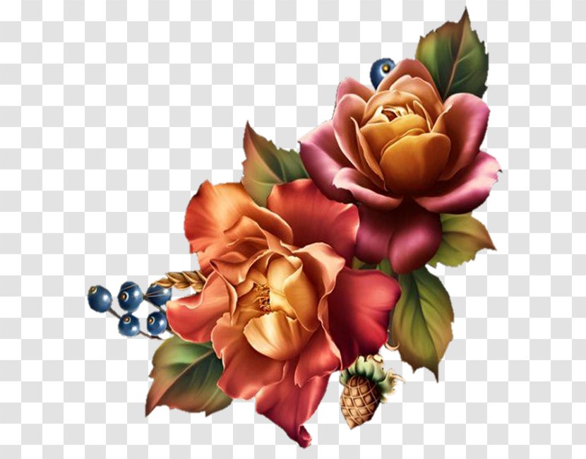 Garden Roses Cut Flowers Floral Design - Flower Transparent PNG