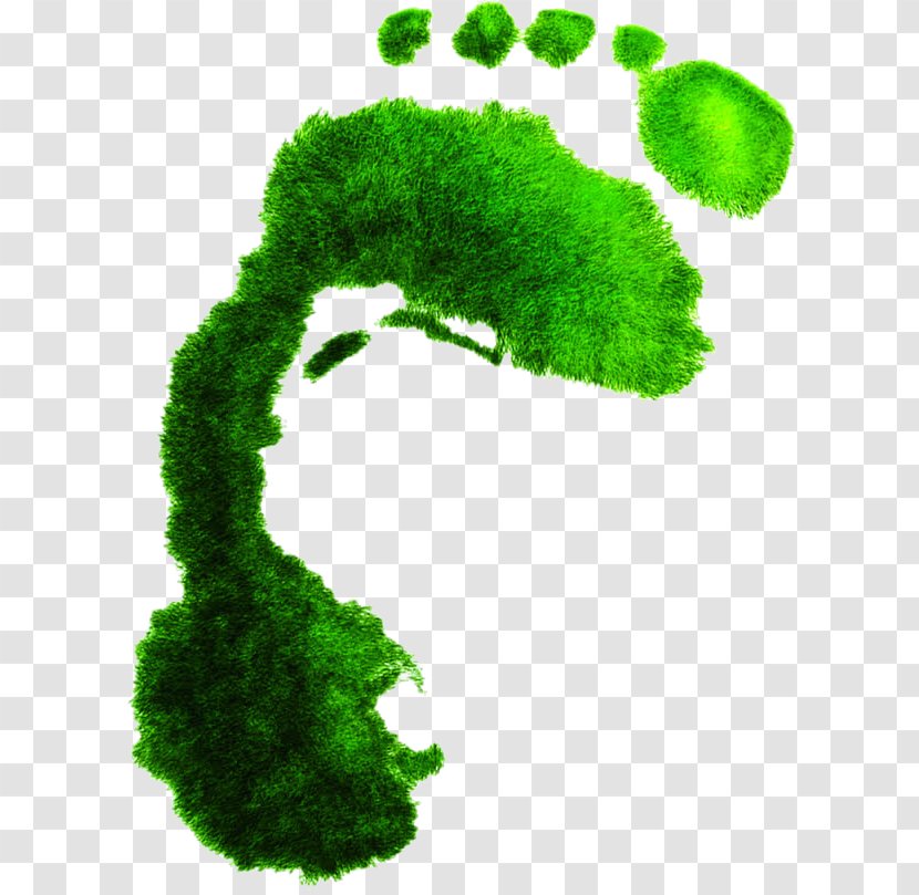 Shoe Footprint - Shrub - Grass Footprints Ads Transparent PNG