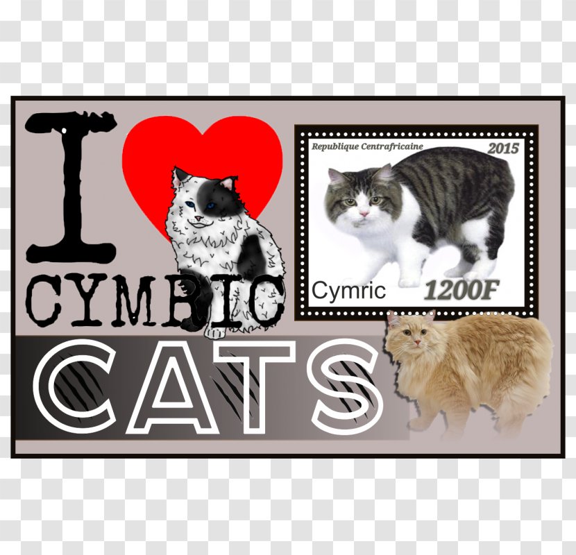 Whiskers Kitten Cymric Picture Frames Paw - Frame Transparent PNG