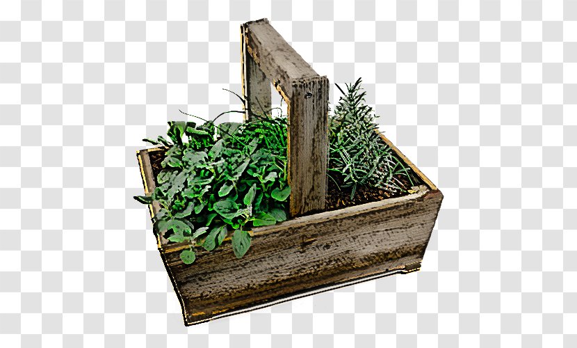 Plant Grass Wood Herb Flowerpot - Flower - Rectangle Transparent PNG