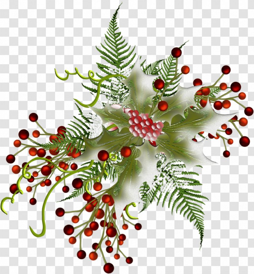 Fir Christmas Ornament Pine Fruit Transparent PNG