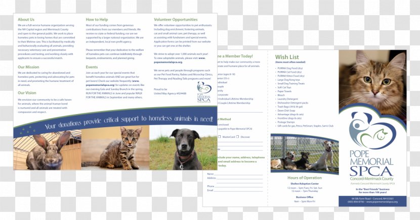 Advertising Brochure Brand Font - Media - Iowa City Animal Care And Adoption Center Transparent PNG