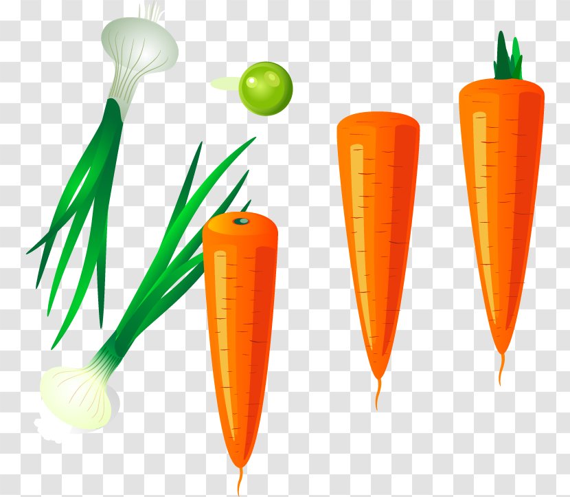 Carrot Clip Art - Food - Garlic Vector Material Transparent PNG