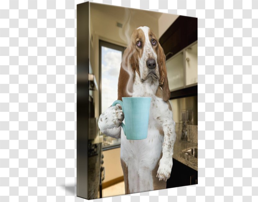 Basset Hound American Foxhound Treeing Walker Coonhound Dog Breed Puppy - Morning Coffee Transparent PNG