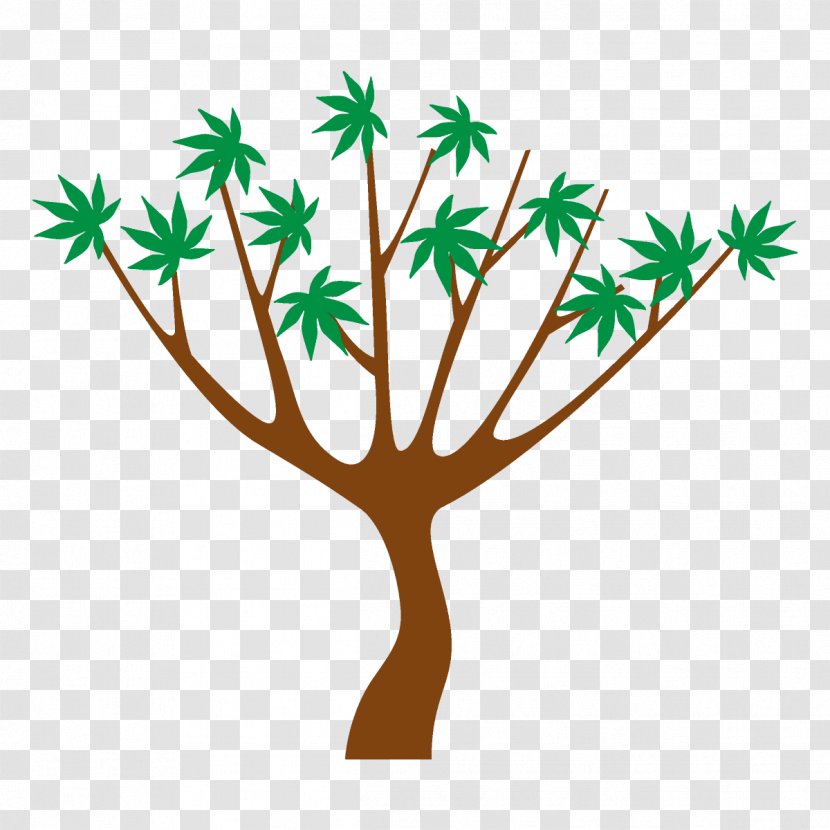Leaf Tree Plant Stem Branch - Maple - American Larch Grass Transparent PNG