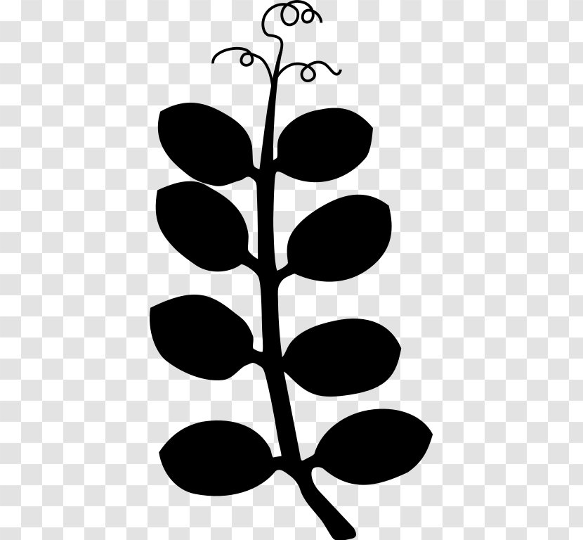 Plant Stem Leaf Clip Art Flower Pattern - Tree - Botany Transparent PNG