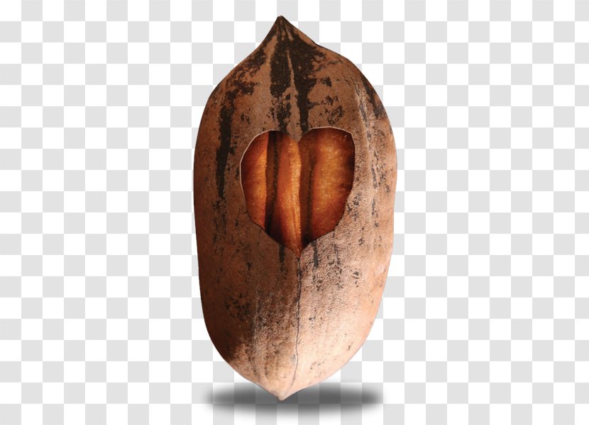 Nut Pecan Logo - Commodity - Chile Pepper Transparent PNG