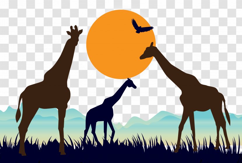 Euclidean Vector Silhouette Illustration - Organism - Giraffe Grassland Transparent PNG
