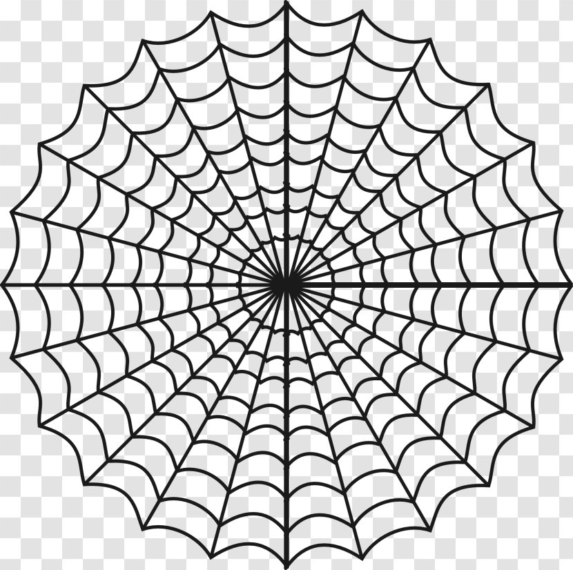 Spider Web Coloring Book Tarantula Drawing Transparent PNG