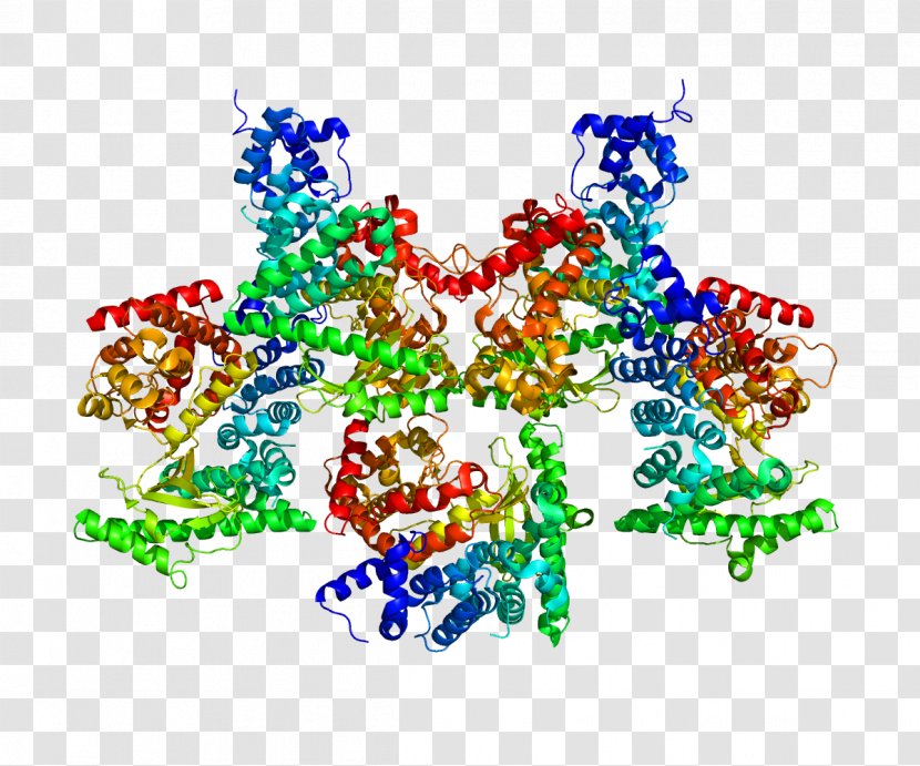 PIK3C3 P110α Phosphoinositide 3-kinase Class III PI Protein - Tree - Flower Transparent PNG
