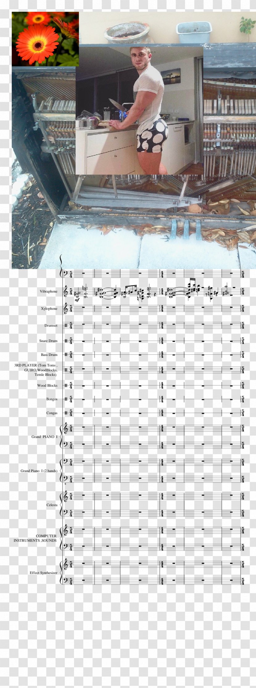 Calendar - Frame - Xylophone Transparent PNG