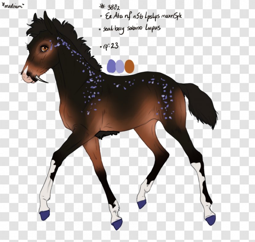 Horse Vector Graphics Illustration Drawing Image - Mammal Transparent PNG