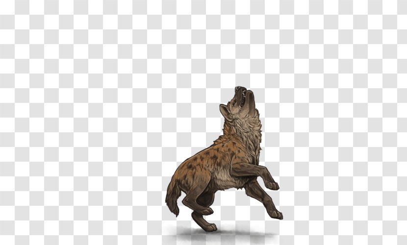 Lion Spotted Hyena Carnivora Mane - Animal Transparent PNG