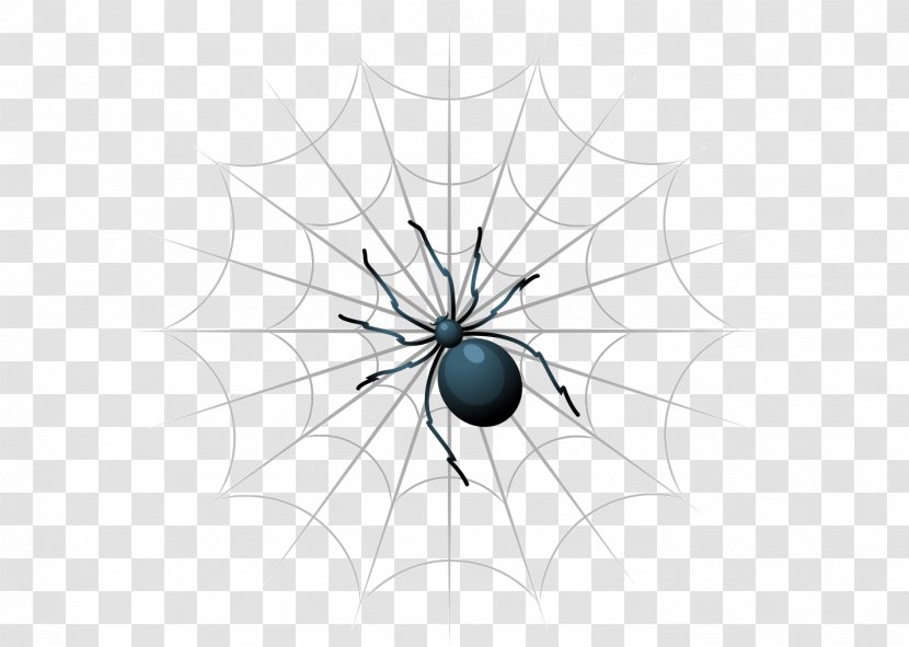 Spider Web Insect - Close Up - Black Transparent PNG