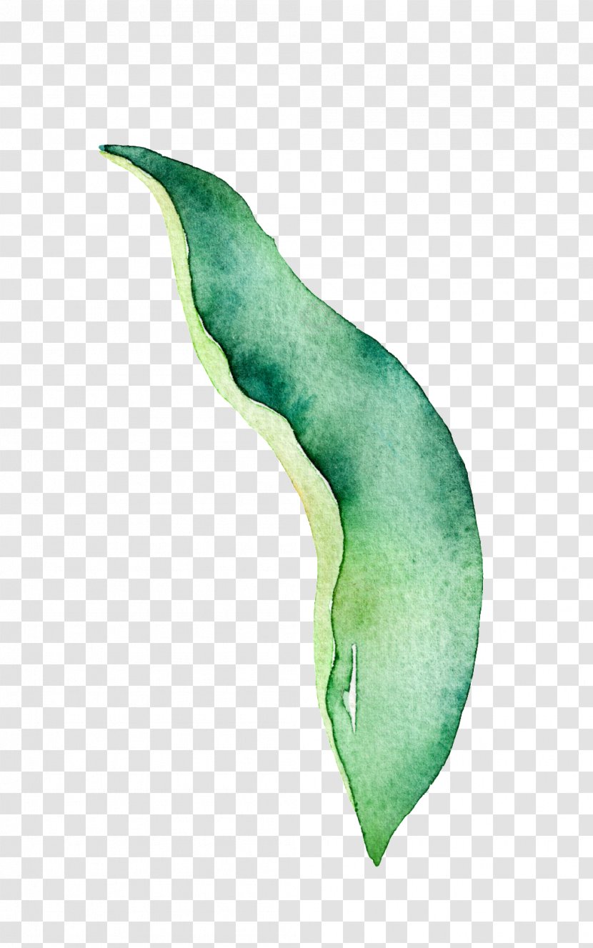 Leaf Download Image Watercolor Painting - Plant Transparent PNG