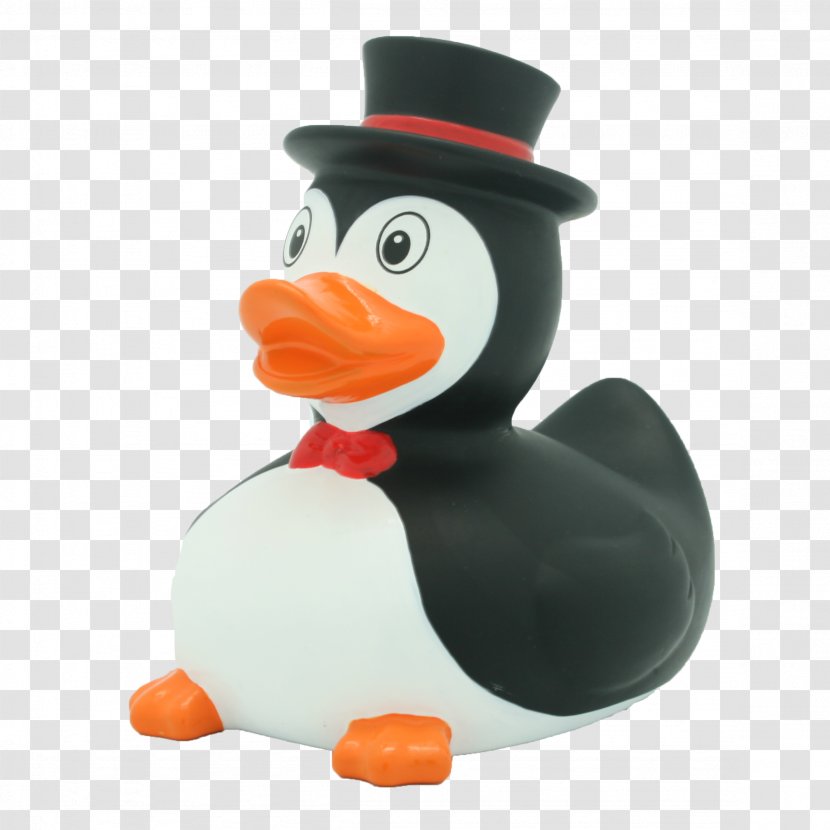 Rubber Duck Penguin Toy Bathtub - Beak Transparent PNG