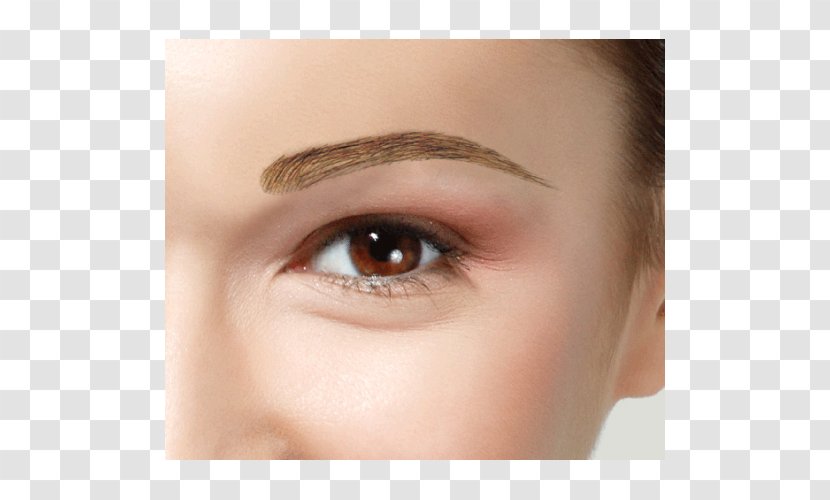 Eyelash Extensions Eyebrow Hair Wig - Brown Transparent PNG