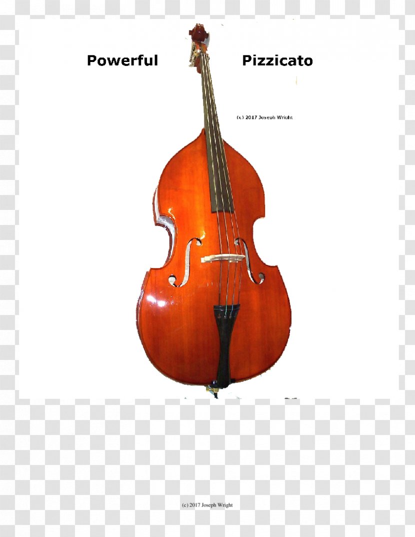 Bass Violin Double Violone Viola Guitar - Tree Transparent PNG