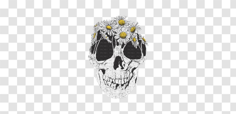 Human Skull Symbolism Calavera Skeleton - Art Transparent PNG