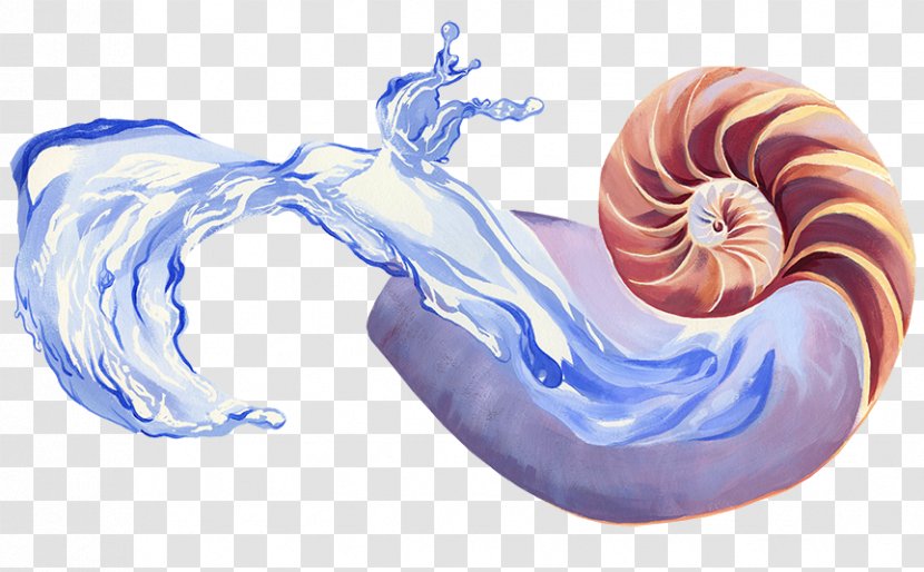 Invertebrate Nautiluses Ear Microsoft Azure Transparent PNG