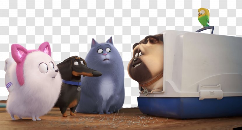 Cat Product Design Snout - Toy - Animation Transparent PNG