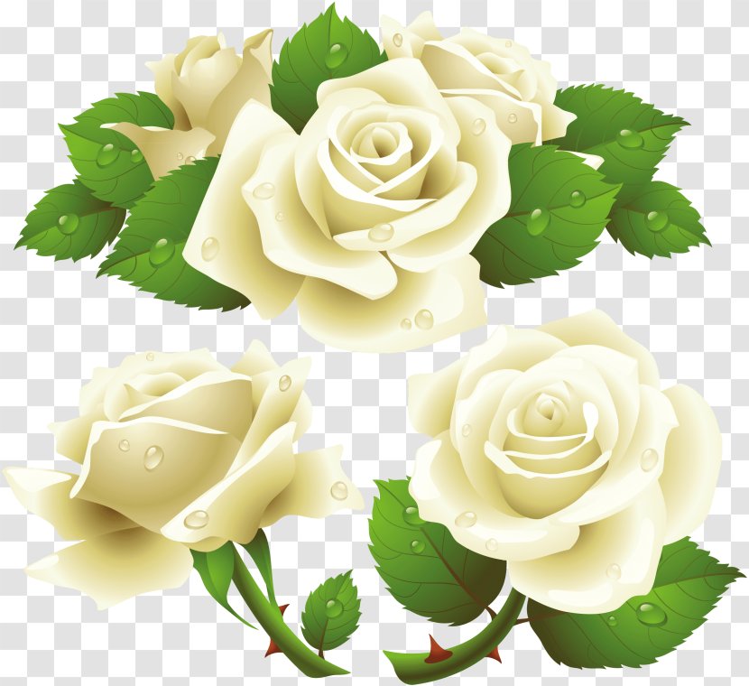 Black And White Flower - Rose - Gardenia Bouquet Transparent PNG