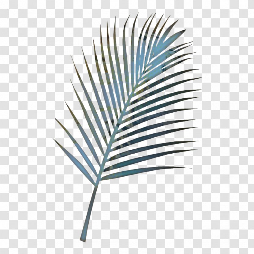 Palm Tree Drawing - Metal Twig Transparent PNG