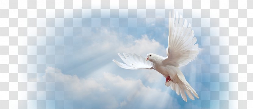 Christian Church Grace In Christianity Prayer Pastor - Good Morning Holy Spirit Transparent PNG