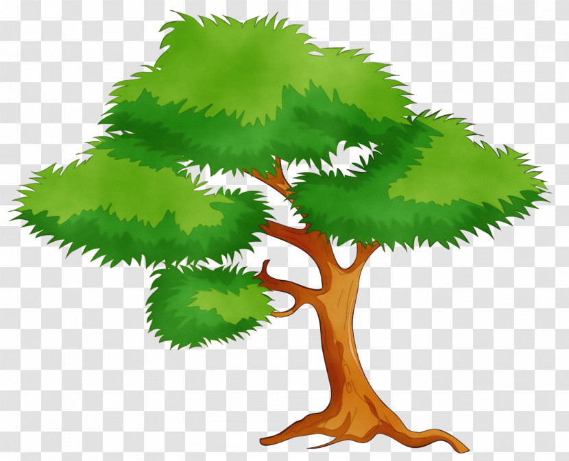 Leaf Plant Stem Tree Green Meter Transparent PNG