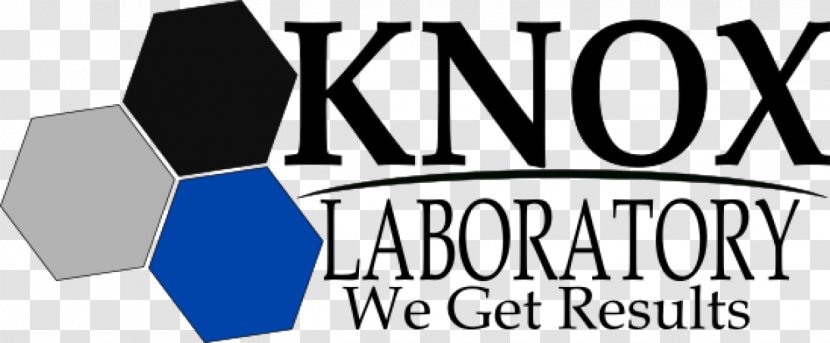 Knox Oklahoma Regional Lab YouTube The Amityville Horror Film Series Logo Brand - Public Relations - Youtube Transparent PNG