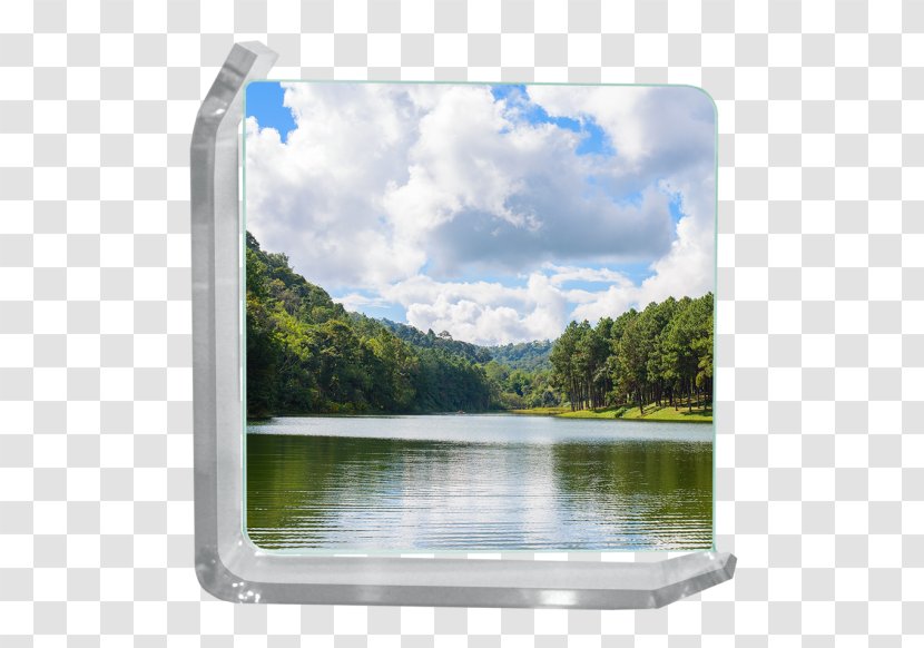 The World's Water Living By Surface Footprint - Lake - 4s Shop Poster Transparent PNG