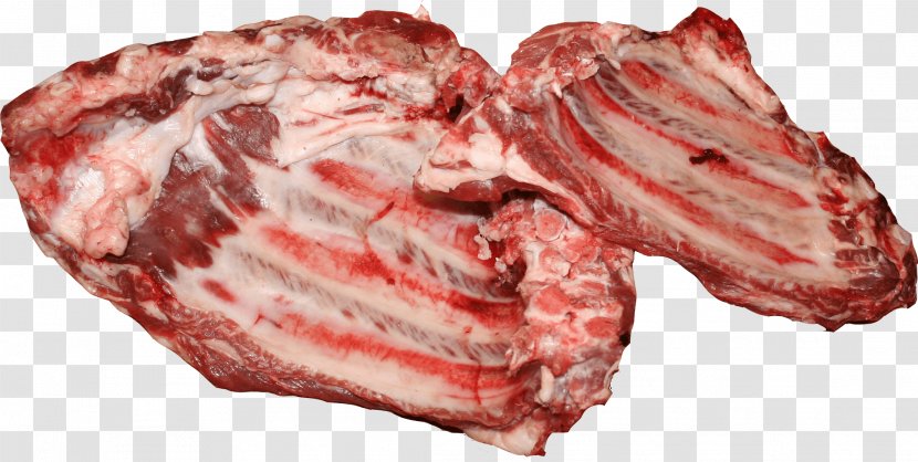 Barbecue Meat Steak Spare Ribs - Watercolor Transparent PNG