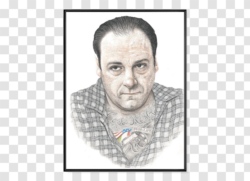 Tony Soprano Illustration Poster United States Internal Link - Textile - Cinco De Mayo Transparent PNG