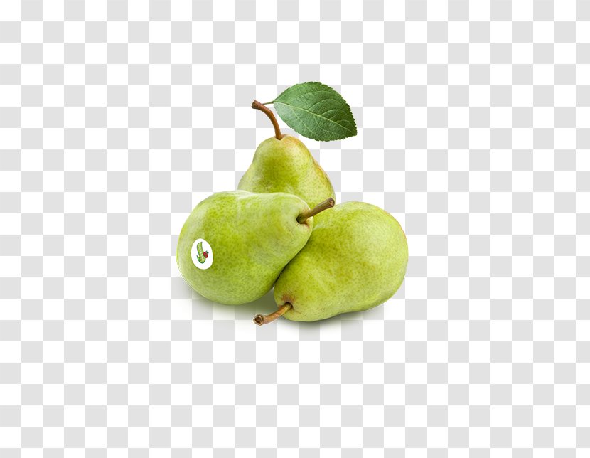 European Pear Fruit Apple Greengrocer - Asian - Pera Transparent PNG