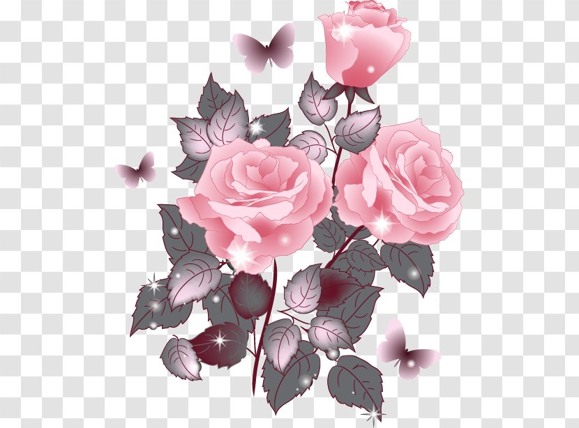 Garden Roses Centifolia Floribunda - Rose Order - Design Transparent PNG