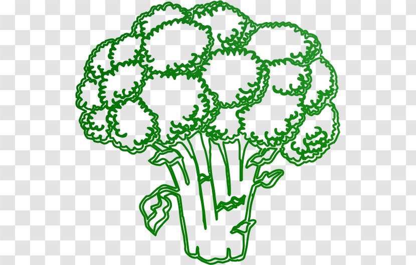 Vegetable Broccoli Education Fruit Pre-school - Flower Transparent PNG