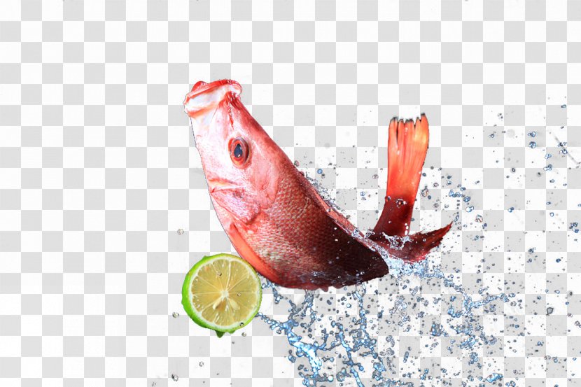 Lemon Icon - Food - Fish In The Splash Transparent PNG
