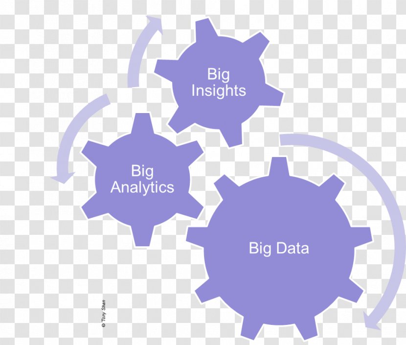 Business Rate Of Return ProfitOptics Inc. Research Root Canal - Organization - Big Data Transparent PNG