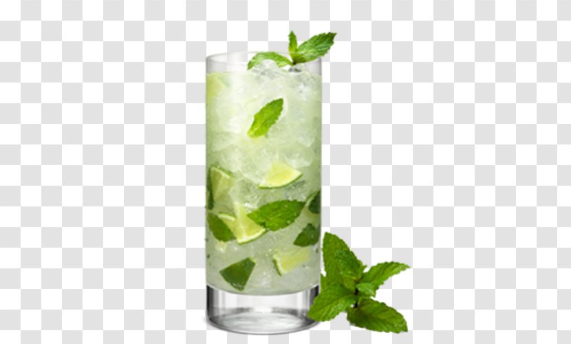 Mojito Cocktail Rum Bacardi Superior Bloody Mary Transparent PNG