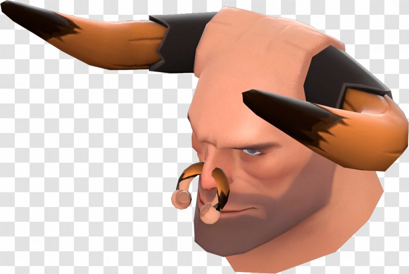 Nose Chin Forehead Eyebrow - Jaw Transparent PNG
