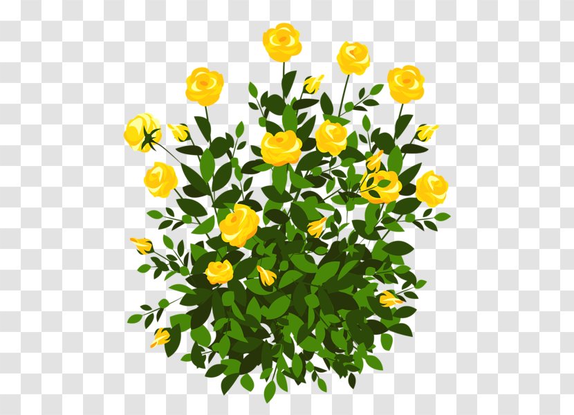 Rose Shrub Clip Art Transparent PNG