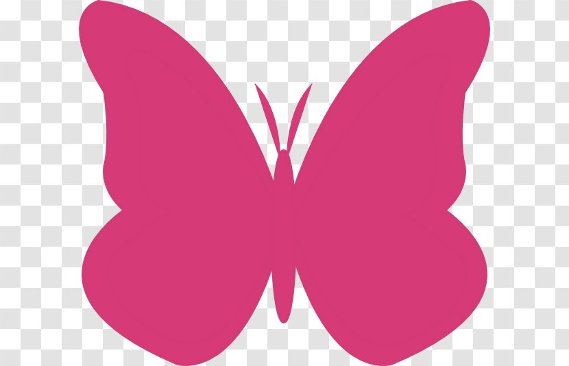 Butterfly Insect Clip Art - Photography - Pink Transparent PNG