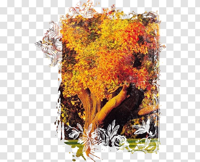 Autumn Tree, Lawn & Landscape Co. Season Transparent PNG