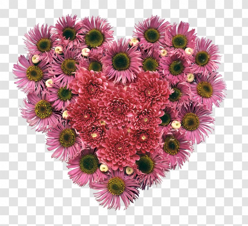 Flower Desktop Wallpaper Heart - Aster - Chrysanthemum Transparent PNG
