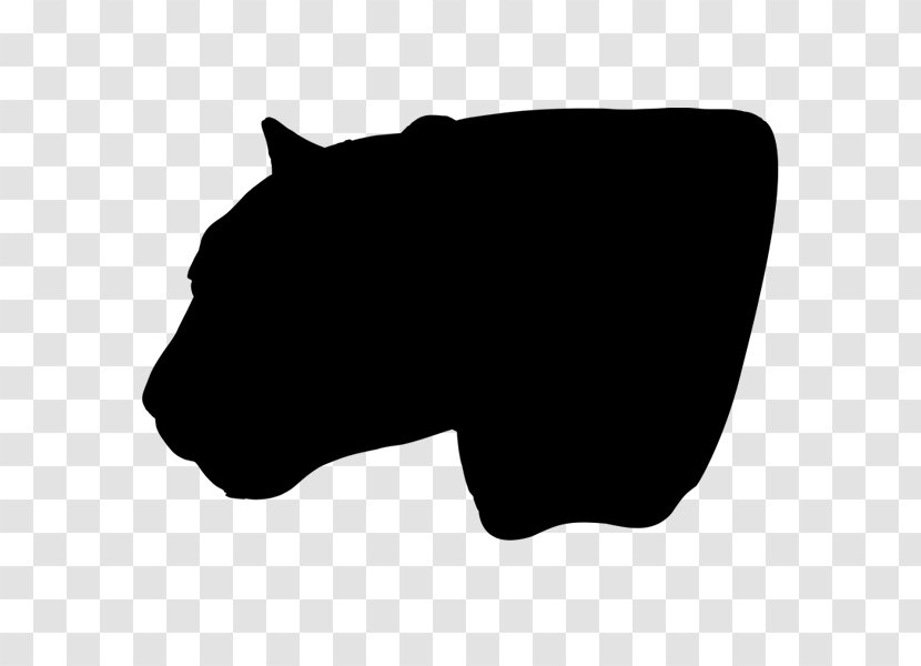 Whiskers Cat Dog Mammal Snout - Blackandwhite Transparent PNG