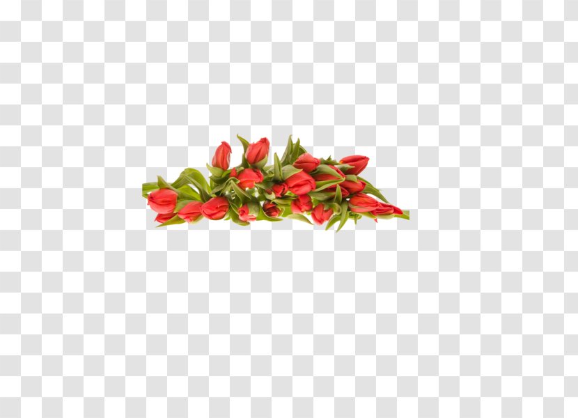 Flower Bouquet Desktop Wallpaper Clip Art - Cayenne Pepper Transparent PNG