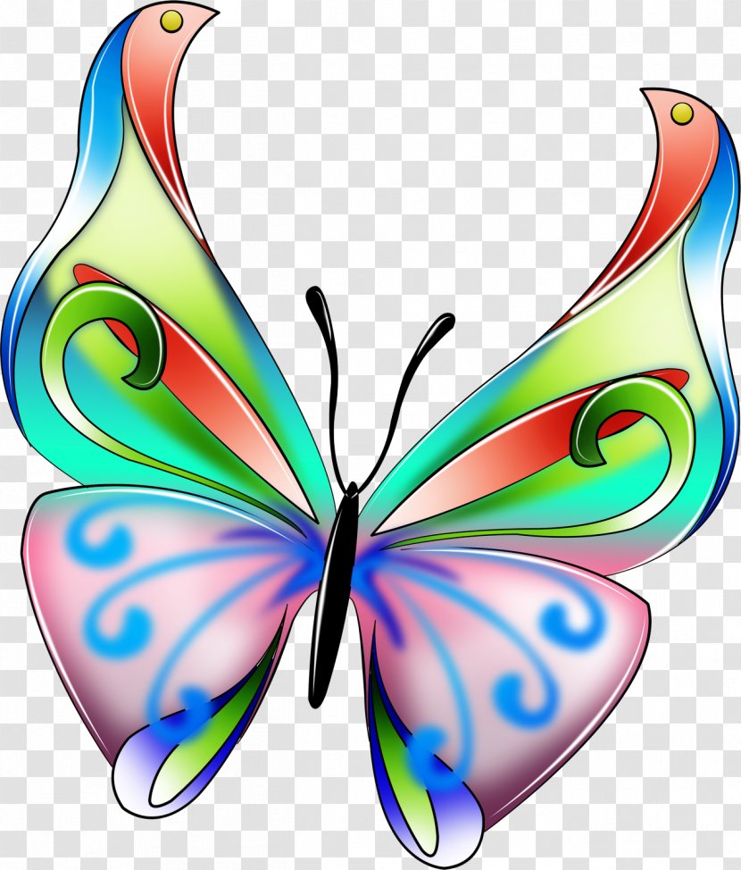 Butterfly Insect Wing Transparent PNG